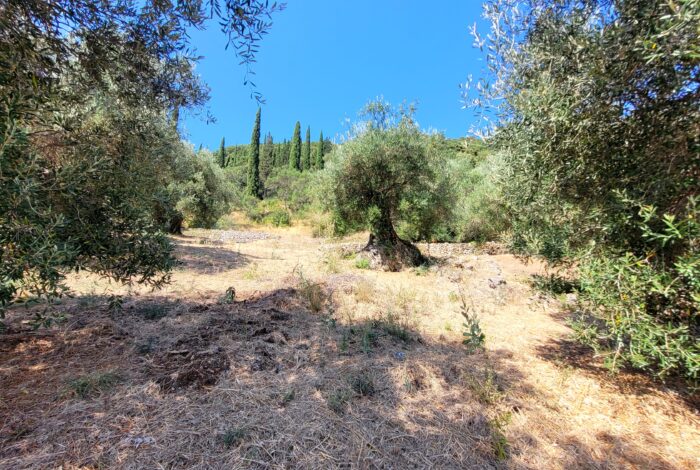 Natural land for development in central Corfu