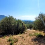 Quiet plot with greenery and distant sea view in Doukades