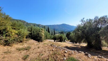 Gently sloping land with countryside views in Corfu