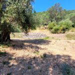 Ideal land for private villa in central Corfu