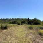 Easy-access buildable land in Giannades, Corfu, suitable for up to 250 sq.m. residential construction