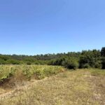 Large investment land surrounded by nature in Central Corfu, ideal for villa development