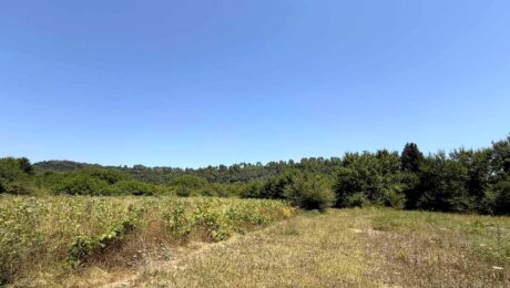 Large investment land surrounded by nature in Central Corfu, ideal for villa development