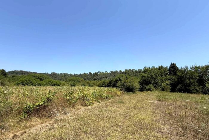 Large investment land surrounded by nature in Central Corfu, ideal for villa development