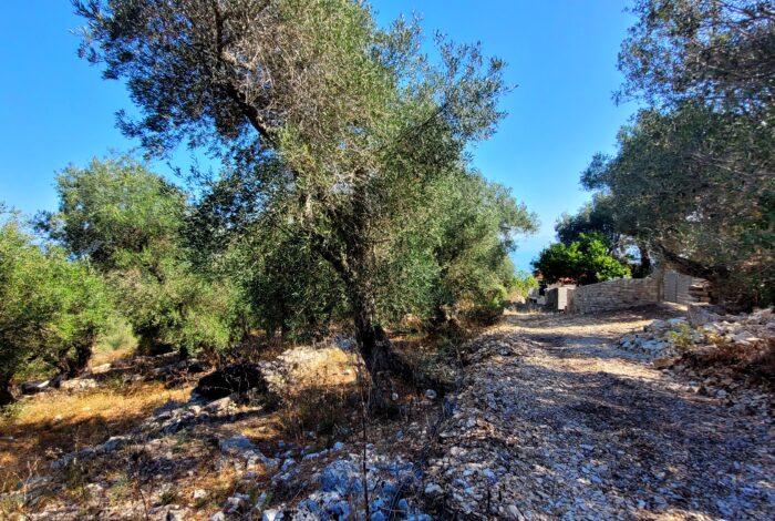Property in Paxos with potential for expansion and renovation
