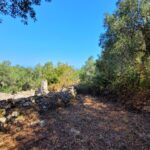 Spacious Paxos plot with stone house and extra building rights