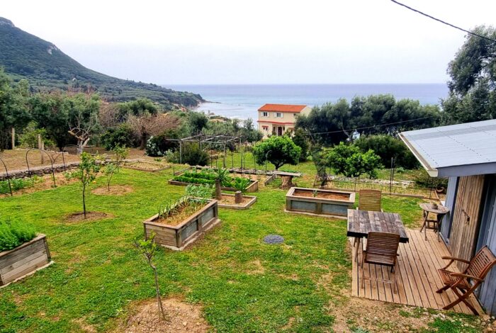 Gated plot with mature trees and flowers in Paramonas Corfu property