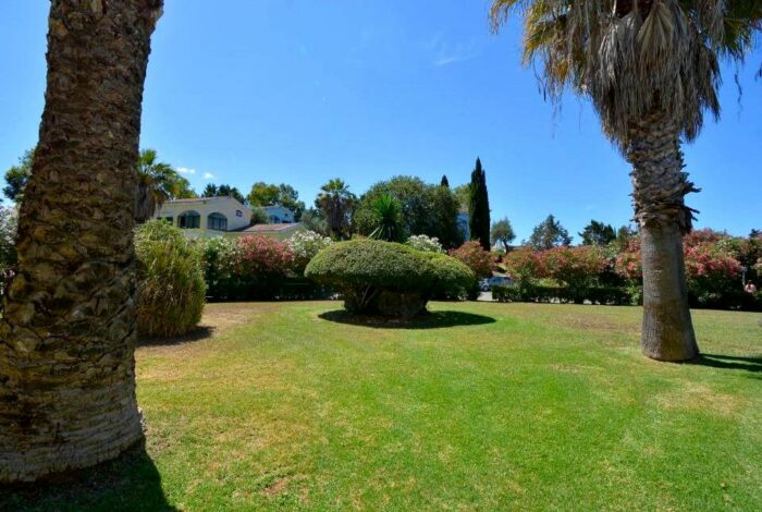 Garden views from the apartment in Gouvia, Corfu