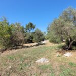 Spacious Corfu property with land for gardens, pool, and extensions