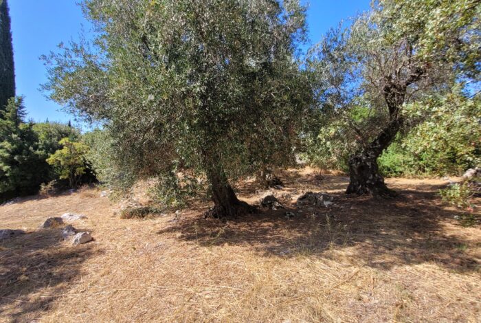 Plot with old stone mansion, perfect for cultural or hospitality use in Corfu