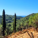 Land for sale in Peritheia Corfu with sea and countryside views – PathSolutions