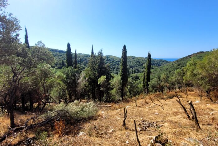 Inclined plot 4049 sqm in North Corfu with building allowance and utilities nearby