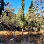 Corfu real estate plot for sale with 186 sqm building capacity plus basement
