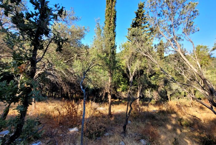Corfu real estate plot for sale with 186 sqm building capacity plus basement
