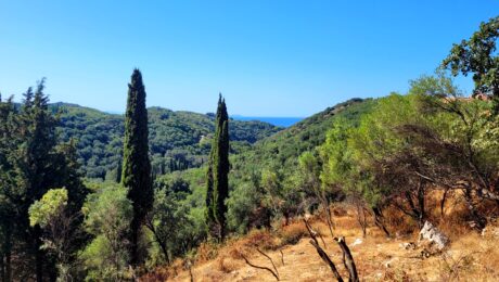 Land for sale in Peritheia Corfu with sea and countryside views – PathSolutions