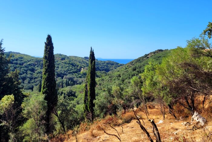 Land for sale in Peritheia Corfu with sea and countryside views – PathSolutions
