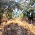 Flat land for sale in Sidari Corfu near the beach – 1105 sqm plot