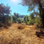 Sidari Corfu real estate plot 1105 sqm with building potential