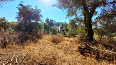 Sidari Corfu real estate plot 1105 sqm with building potential
