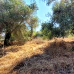 Investment plot Sidari Corfu 1105 sqm builds up to 125 sqm