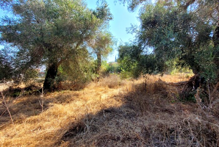 Investment plot Sidari Corfu 1105 sqm builds up to 125 sqm