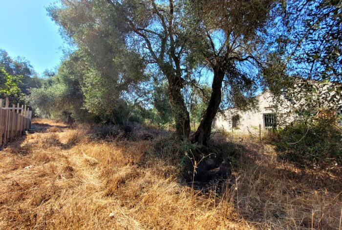 Flat plot in Sidari Corfu with easy access and utilities nearby