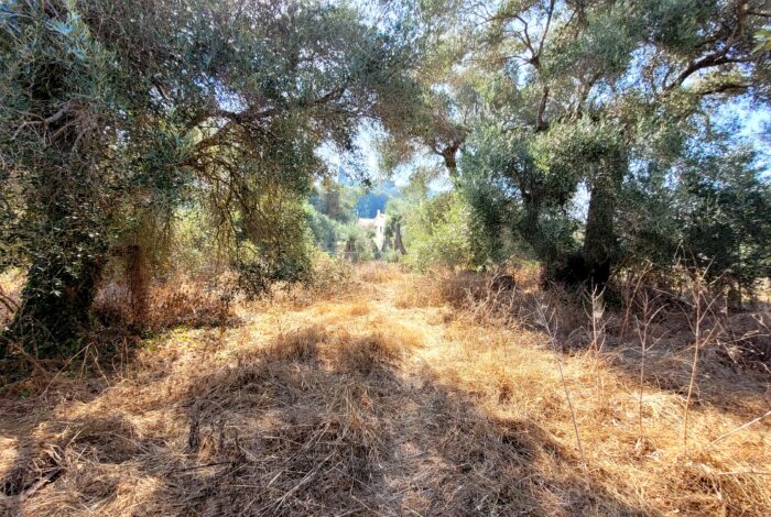 Flat land for sale in Sidari Corfu near the beach – 1105 sqm plot