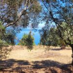Plot of land for sale in Chlomos South Corfu with sea views