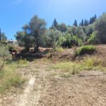 Chlomos Corfu land with electricity and water supplies nearby