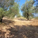Flat plot for sale in Giannades central Corfu with countryside views