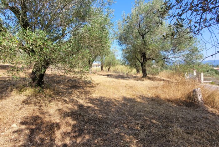 Flat plot for sale in Giannades central Corfu with countryside views