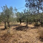 Buildable land in Giannades Corfu up to 400 sq.m. construction