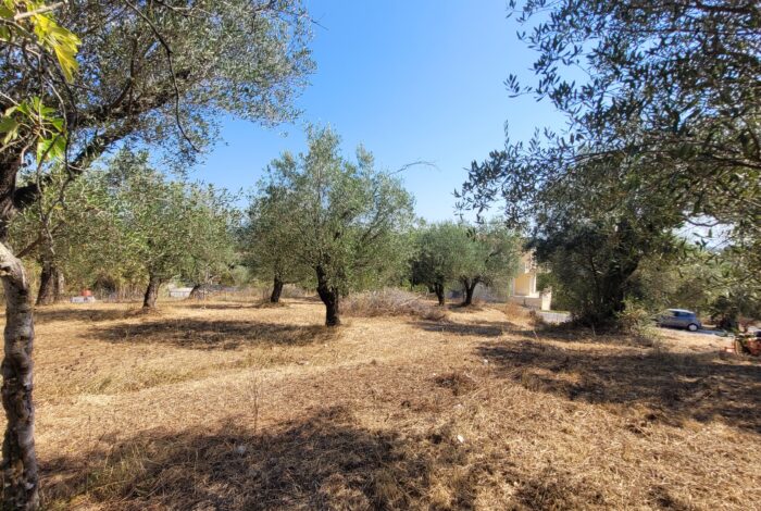 Countryside land for sale in Giannades central Corfu Greece