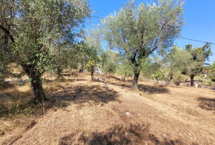 Peaceful countryside property in Giannades Corfu for sale