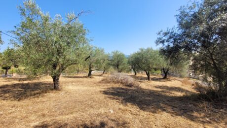 Flat plot in Giannades, Corfu with easy road access and utilities nearby
