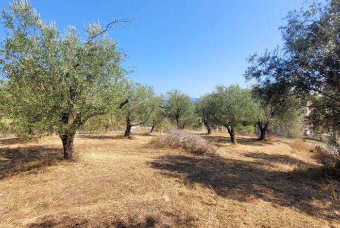 Flat plot in Giannades, Corfu with easy road access and utilities nearby
