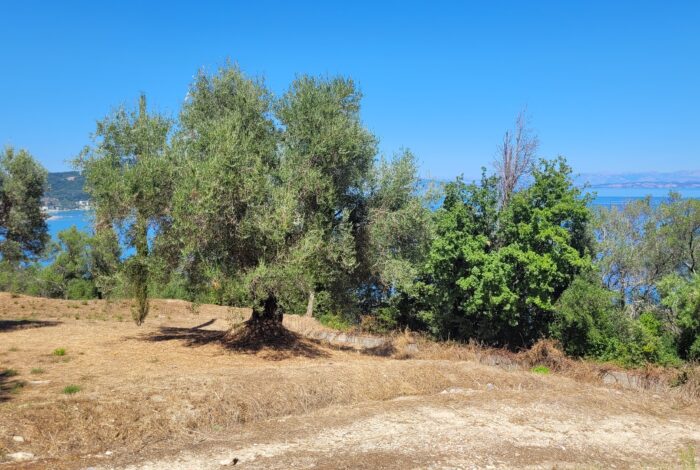 South Corfu plot of land with preapproved villa license until 2026