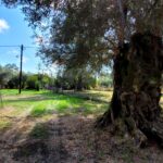 Maisonette property in Agios Georgios South Corfu with spacious outdoor space