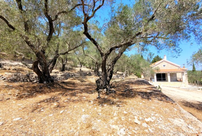 Large estate in Paxos with ample outdoor space for activities and relaxation