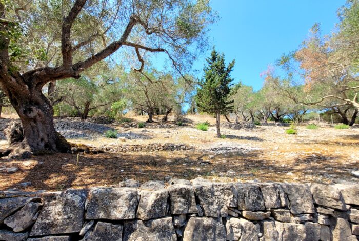 Landscaped garden surrounding renovated villa with sea view in Paxos