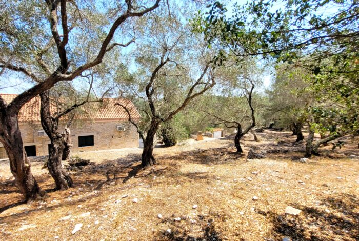 Large private estate of 6,489 sq.m. surrounding Paxos villa