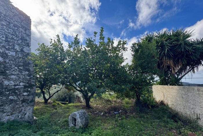 Good sized plot for garden and outside sitting area