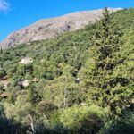 Land for sale with building permit preapproval in Nisaki Corfu