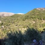 Mountain slope property in Corfu ideal for villa construction