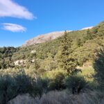 Peaceful Corfu property site ideal for luxury villa