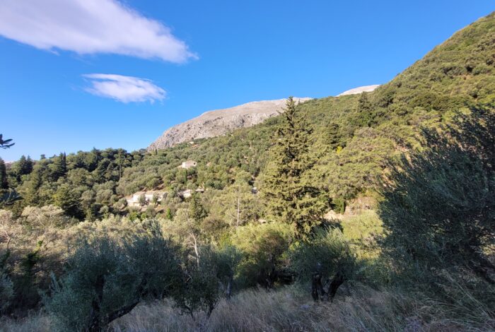 Peaceful Corfu property site ideal for luxury villa