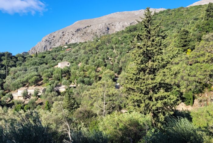 Land for sale with building permit preapproval in Nisaki Corfu