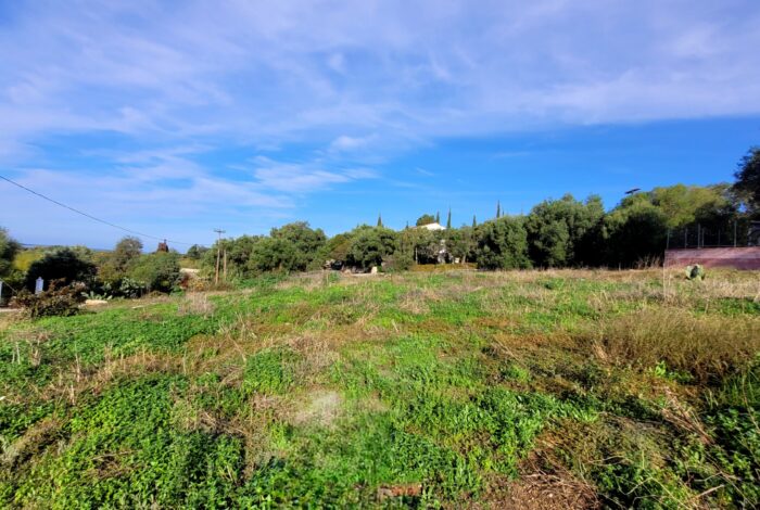 Corfu land with potential for tourism development