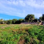 Plot for sale near Issos Beach South Corfu