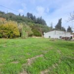 Buildable plot in North Corfu countryside
